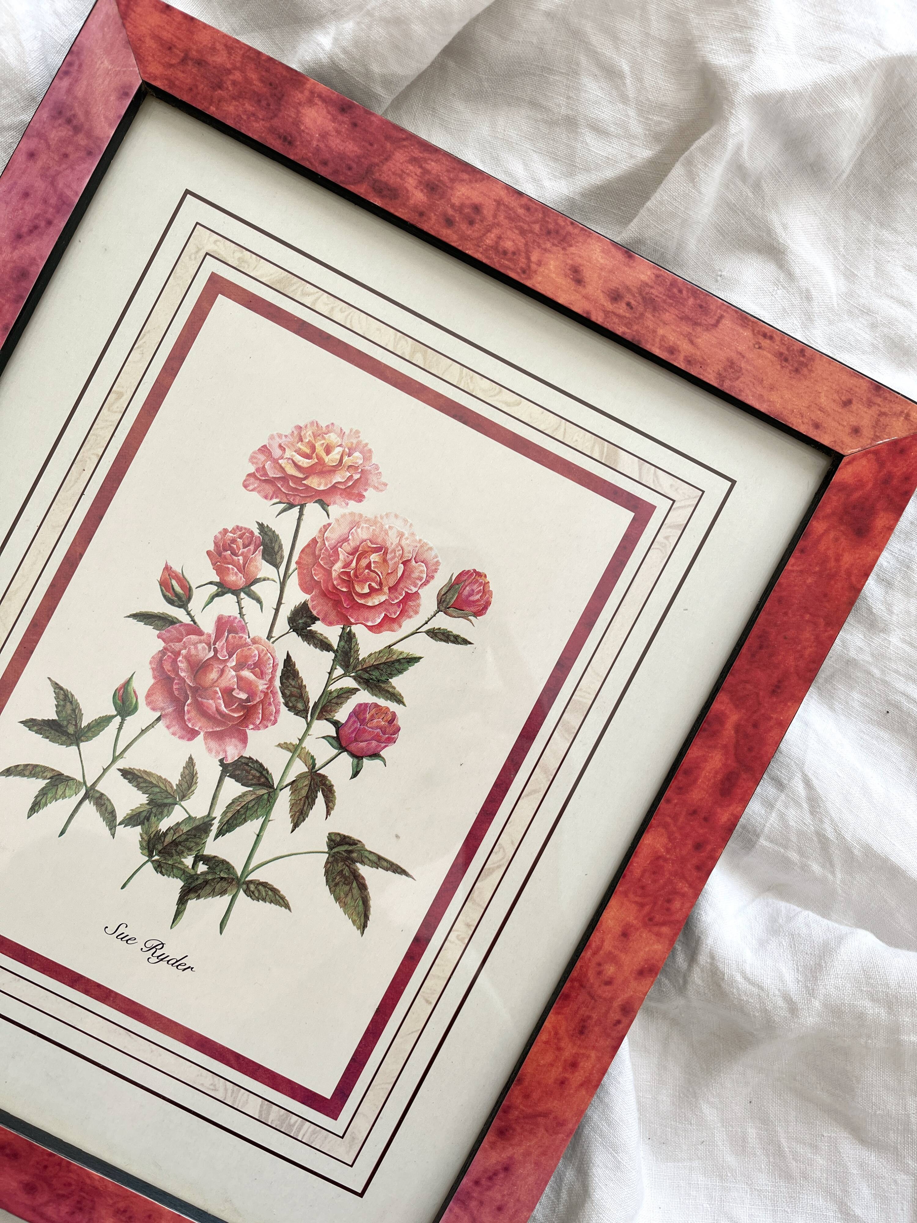 Vintage botanical lithograph