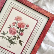 Lithographie botanique vintage