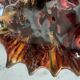 Vide poche poisson en céramique Vallauris années 70