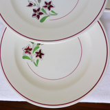 Set of 4 vintage porcelain dinner plates from the Salins factory