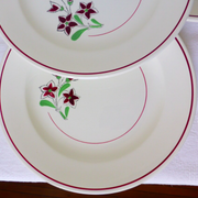 Set of 4 vintage porcelain dinner plates from the Salins factory