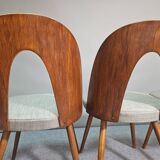 Chaises conçues par Antonín Šuman pour Tatra Nabytok, Tchécoslovaquie des années 1960.