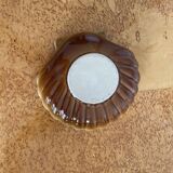 Shell saucer