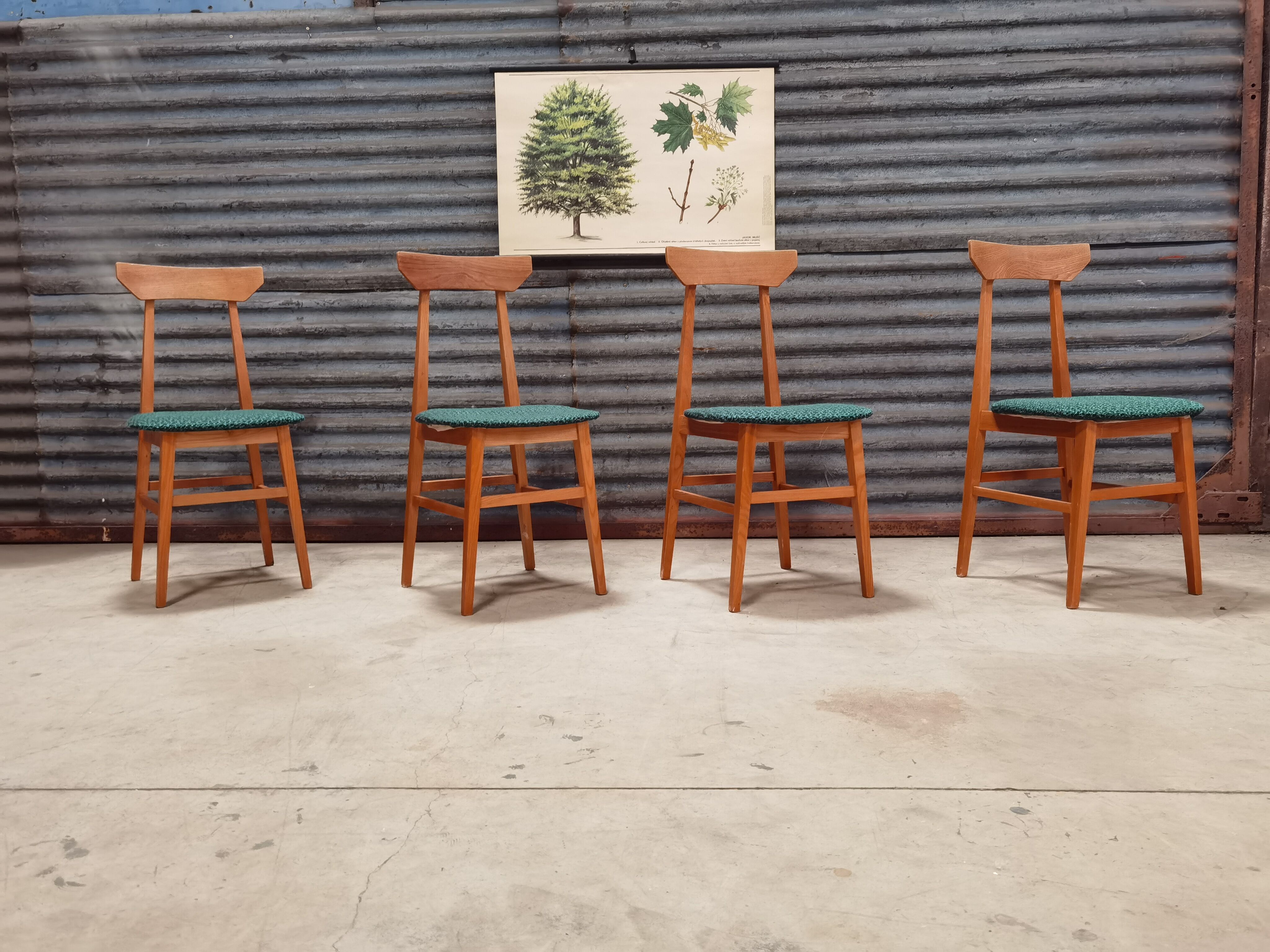 Set of 4 Chairs Drevotex Emerald Green