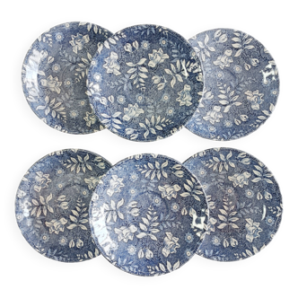 Lot de 6 soucoupes Royal Tudor, Velvet