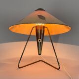 Large Rare Table or Wall Lamp by Helena Frantova for OKOLO, Czechoslovakia, 1950's