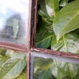 W84xH137.5 industrial curved metal glass frame window