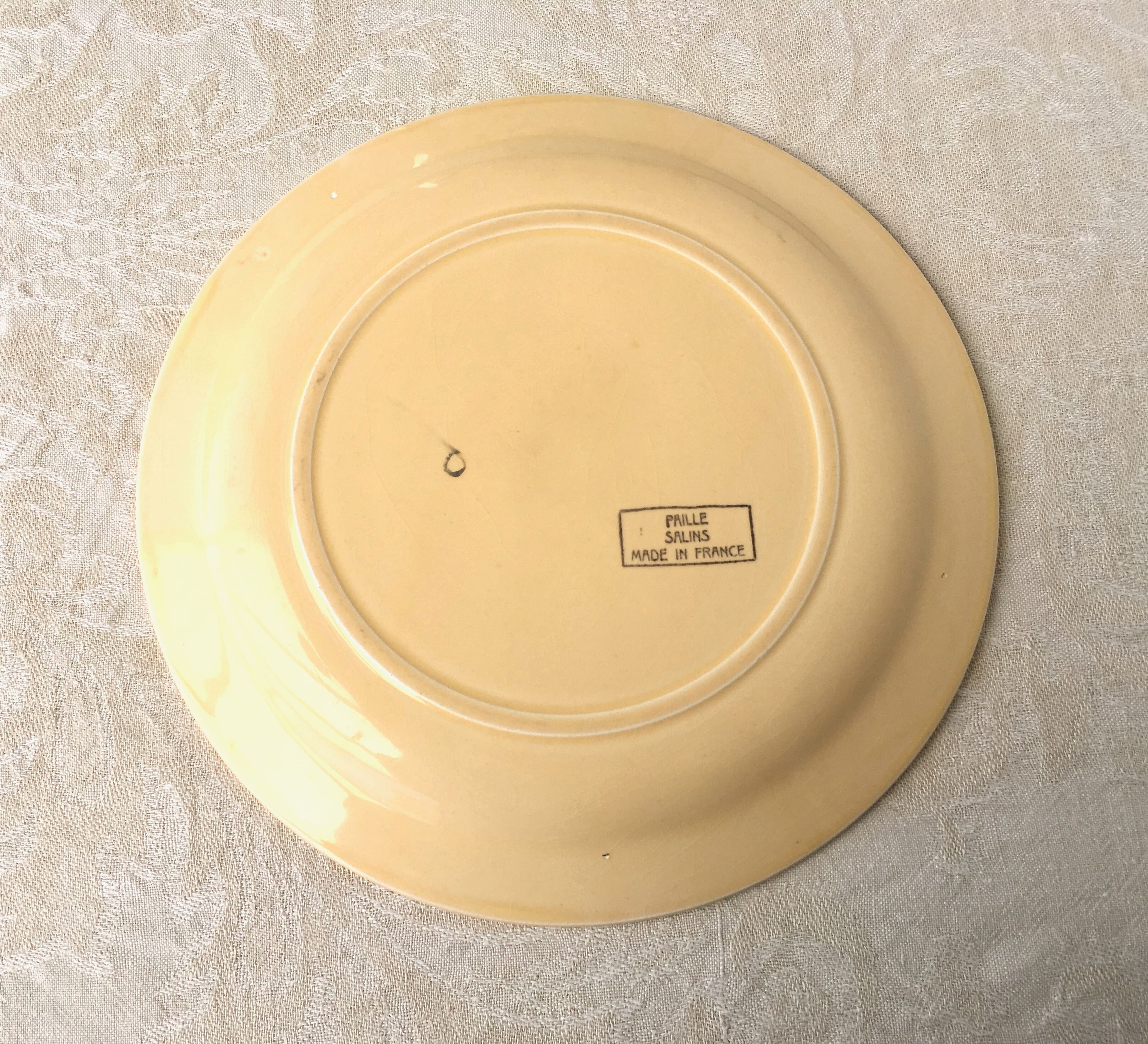 Set of 12 flat plates of Salins earthenware