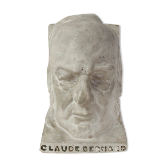 Vintage plaster head " Claude Bernard "