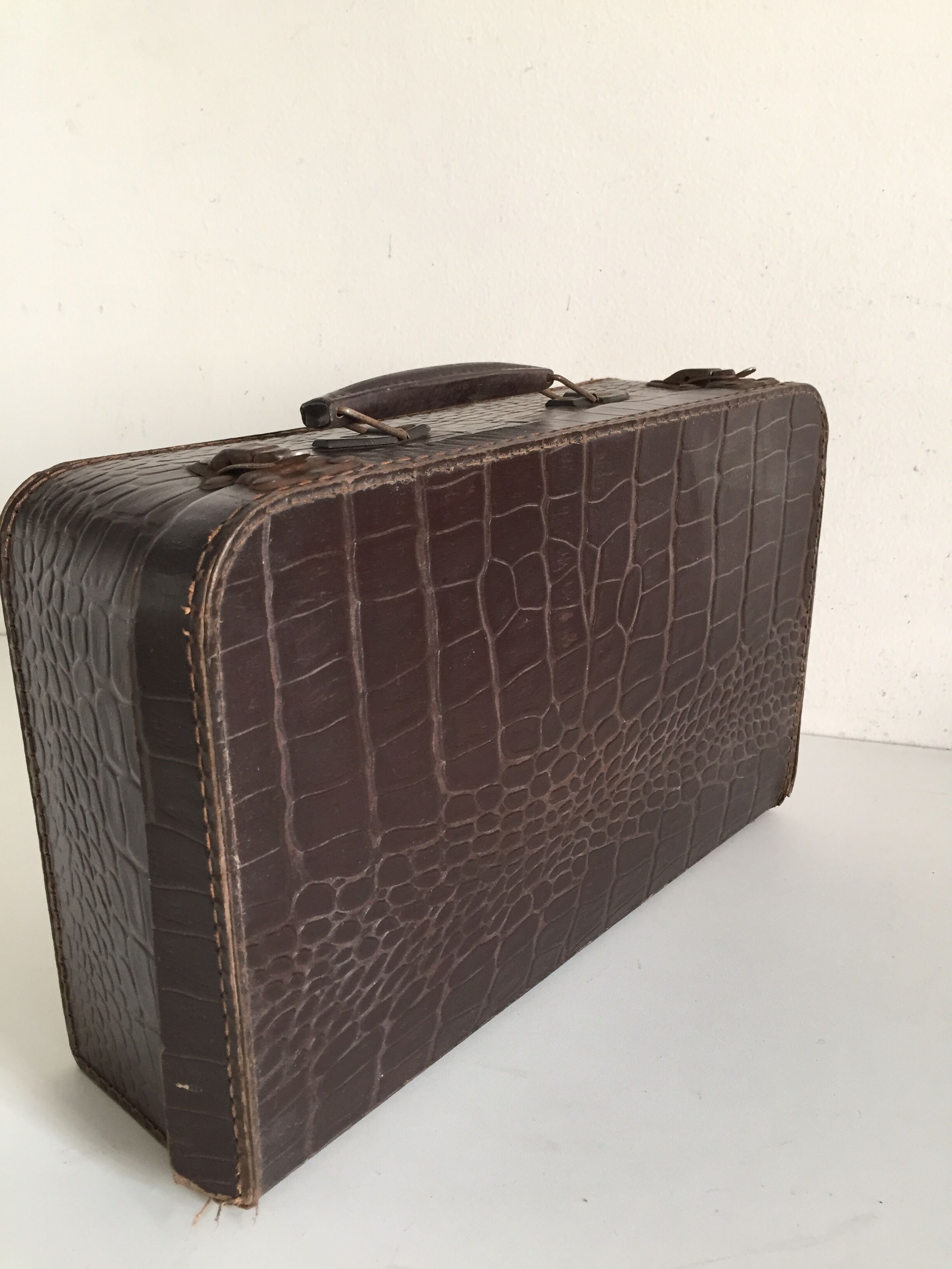 Small suitcase cardboard way crocodile