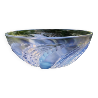 Lalique coupe en cristal irisé à reflets bleutés.signée R.Lalique