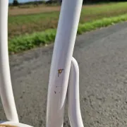 Lot de 4 chaises en bois tournés et cannage 