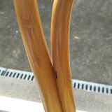 4 Thonet ZPM Radomsko chairs