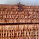 Rattan basket