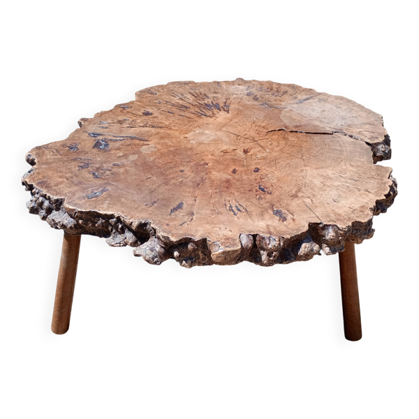 Table basse style brutaliste en loupe d'orme
