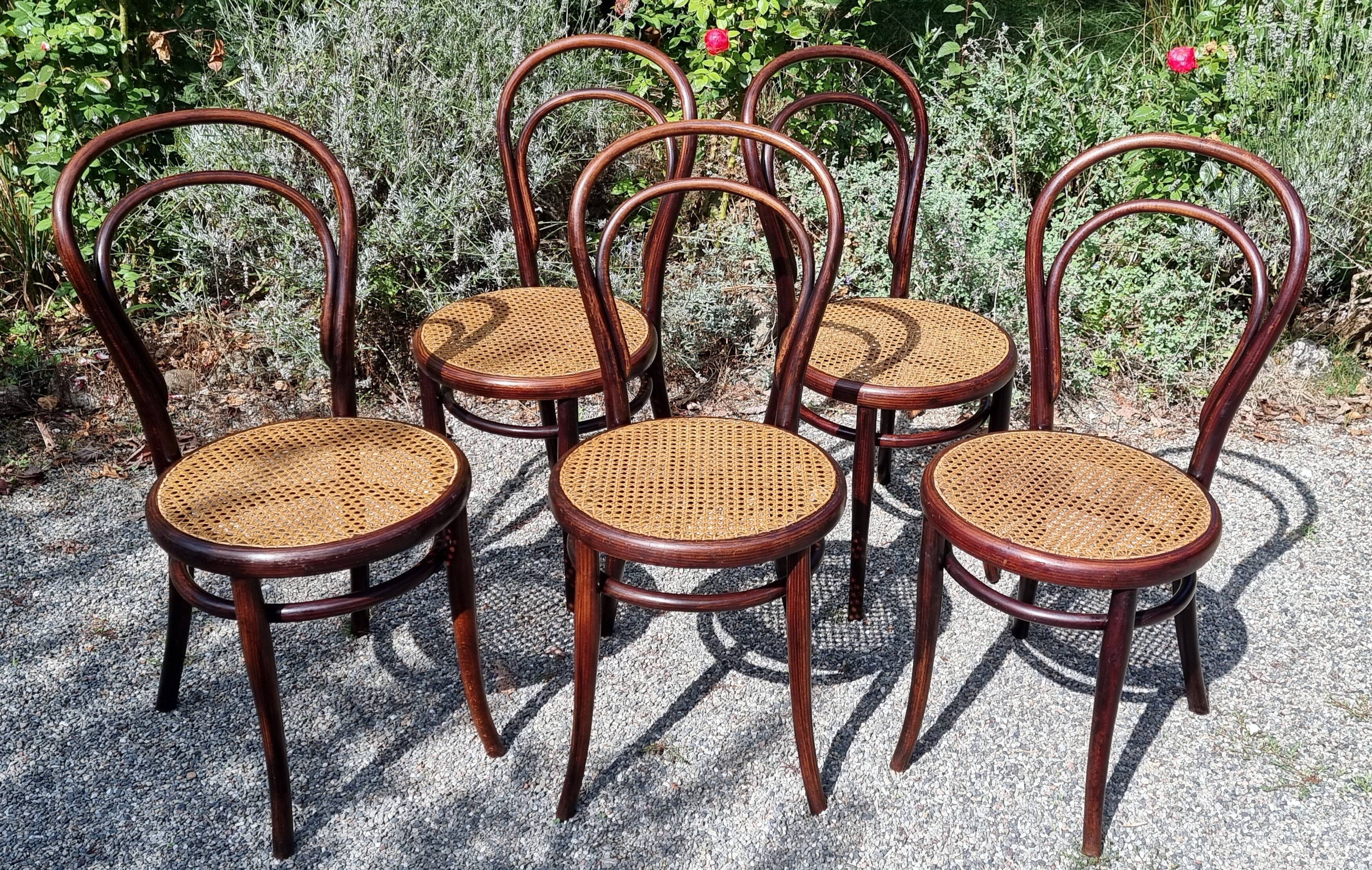 5 chaises Thonet n°14 de 1875