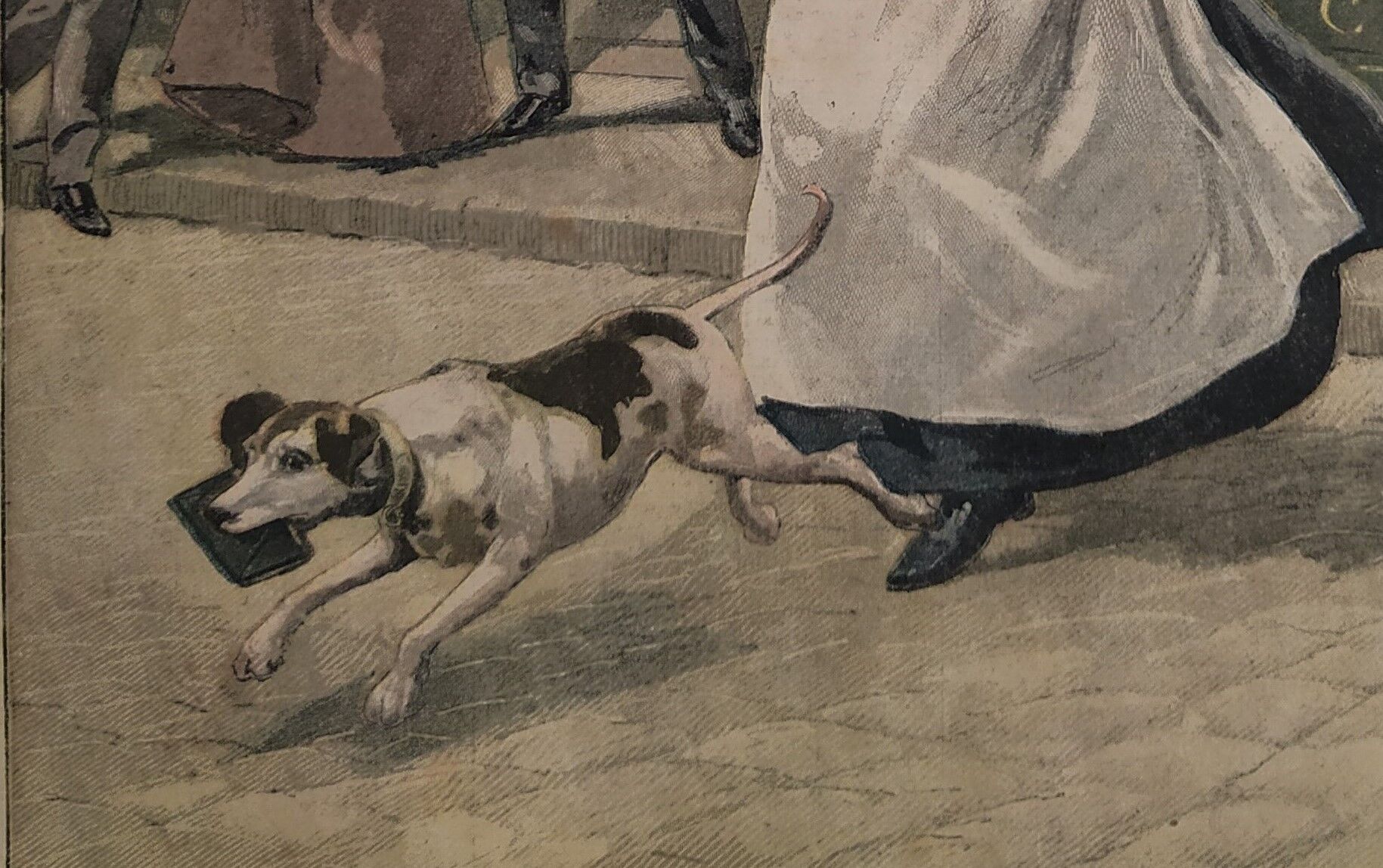 A thief dog 1903