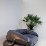 Anfibio sofa by Alessandro Becchi for Giovannetti, 1970