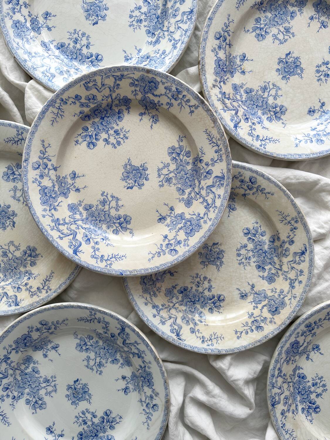 8 flat ironstone plates “Fleurette” Gien