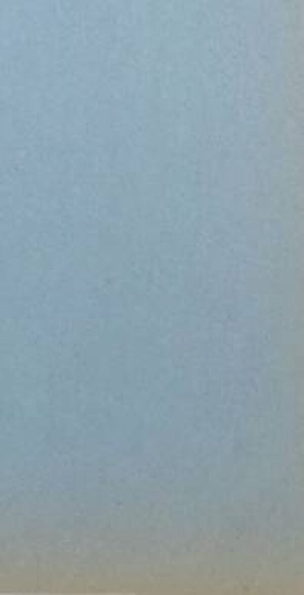 Jean arp : homme oiseau - pochoir