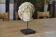 Sculpture of a head in reconstituted stone carved in the antique style of the 19th century