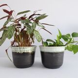 Ceramic planters 1940