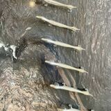 6 silver metal dachshund knife holders