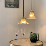 Duo lamps Holophane floral style