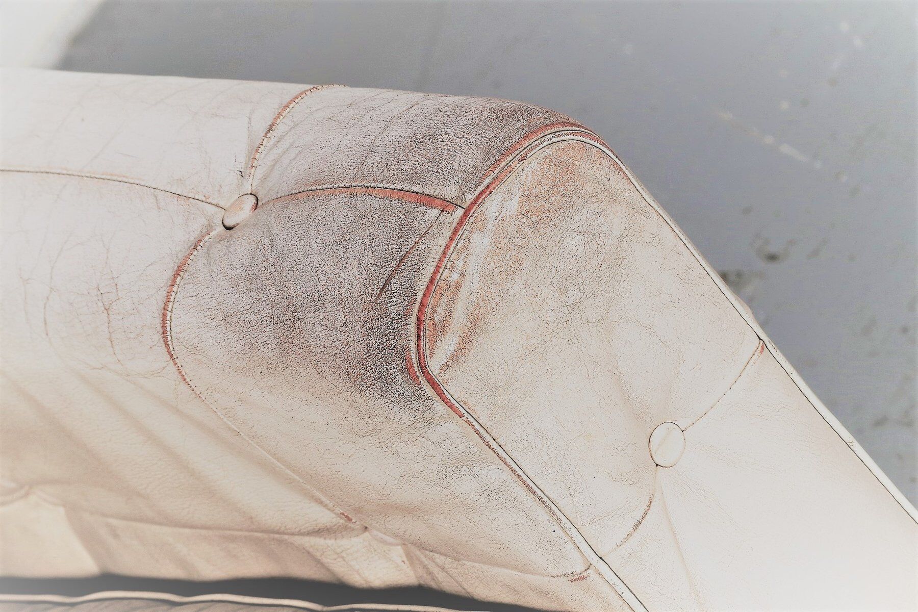 Vintage club chair in rosewood and leather