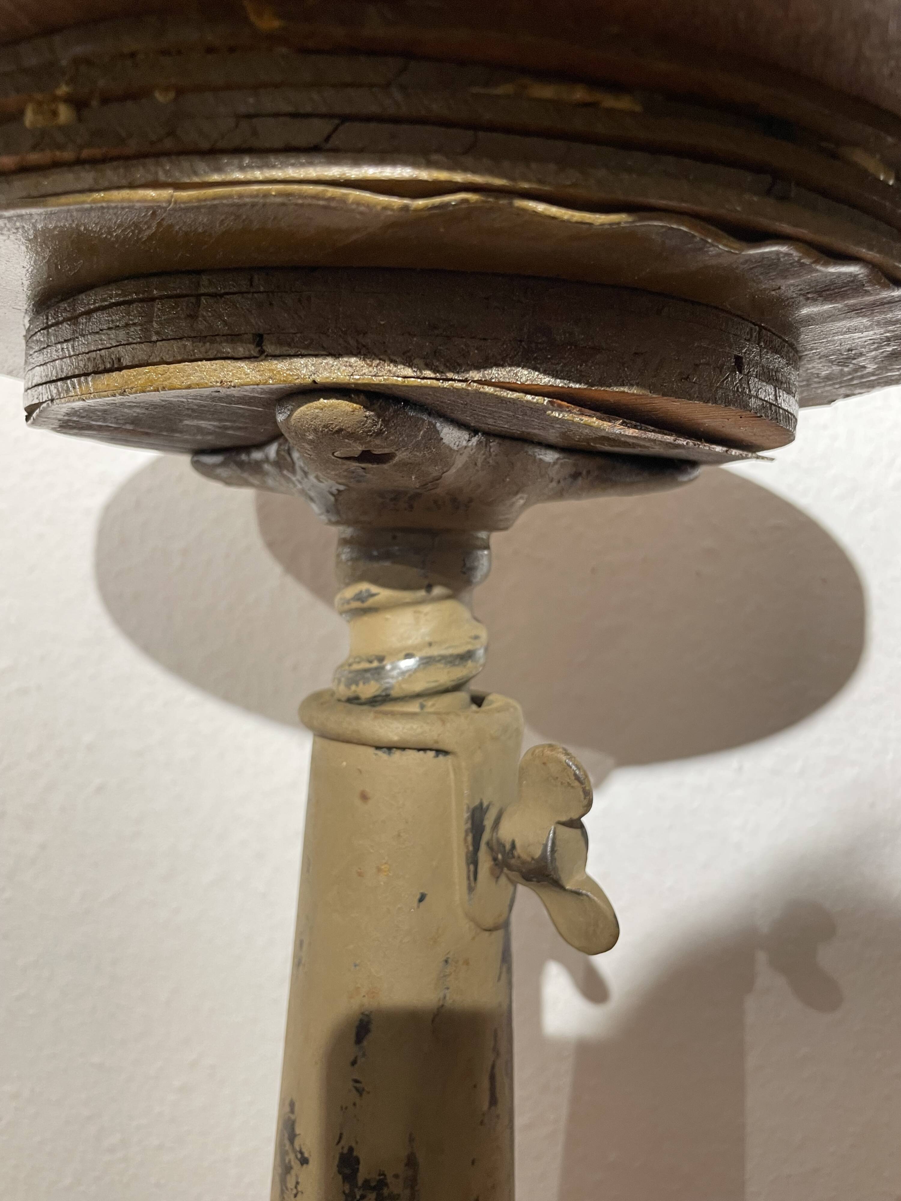 Real SINGER stool, in its juice