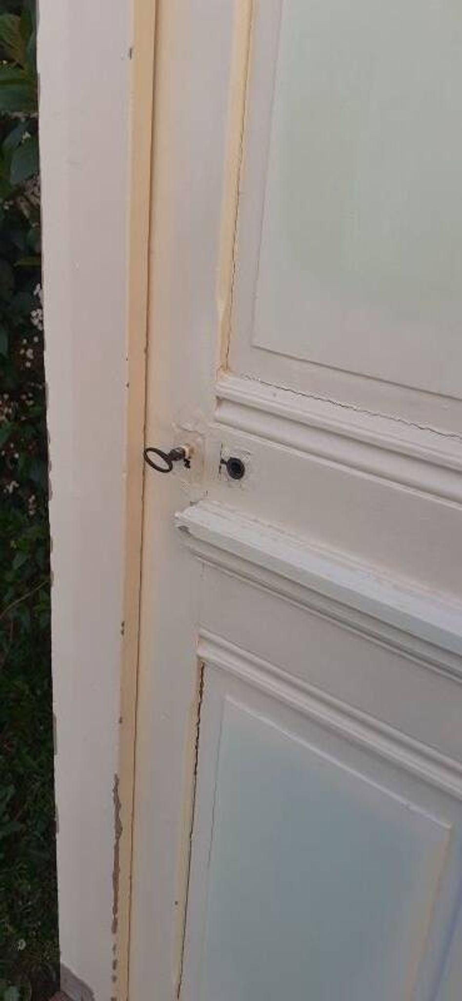 81.2x212 door and old molded paneled communication frame
