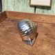 Vintage ashtray in silver and gold metal in the shape of a snail
