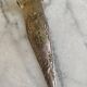 Antique silver-plated sugar tongs SFAM with monogram.