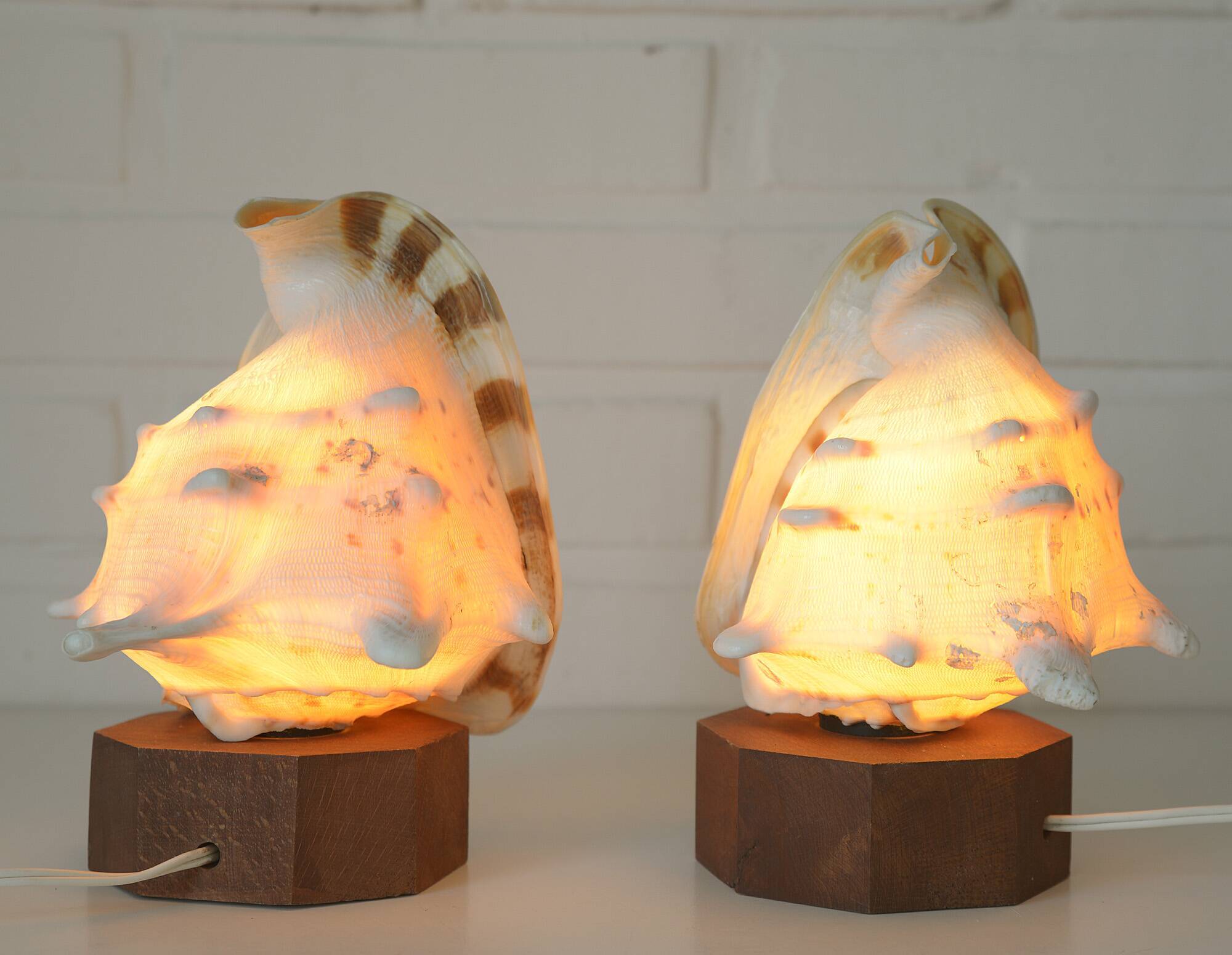 Vintage bedside shell lamps lake house decor wooden table lights set of 2