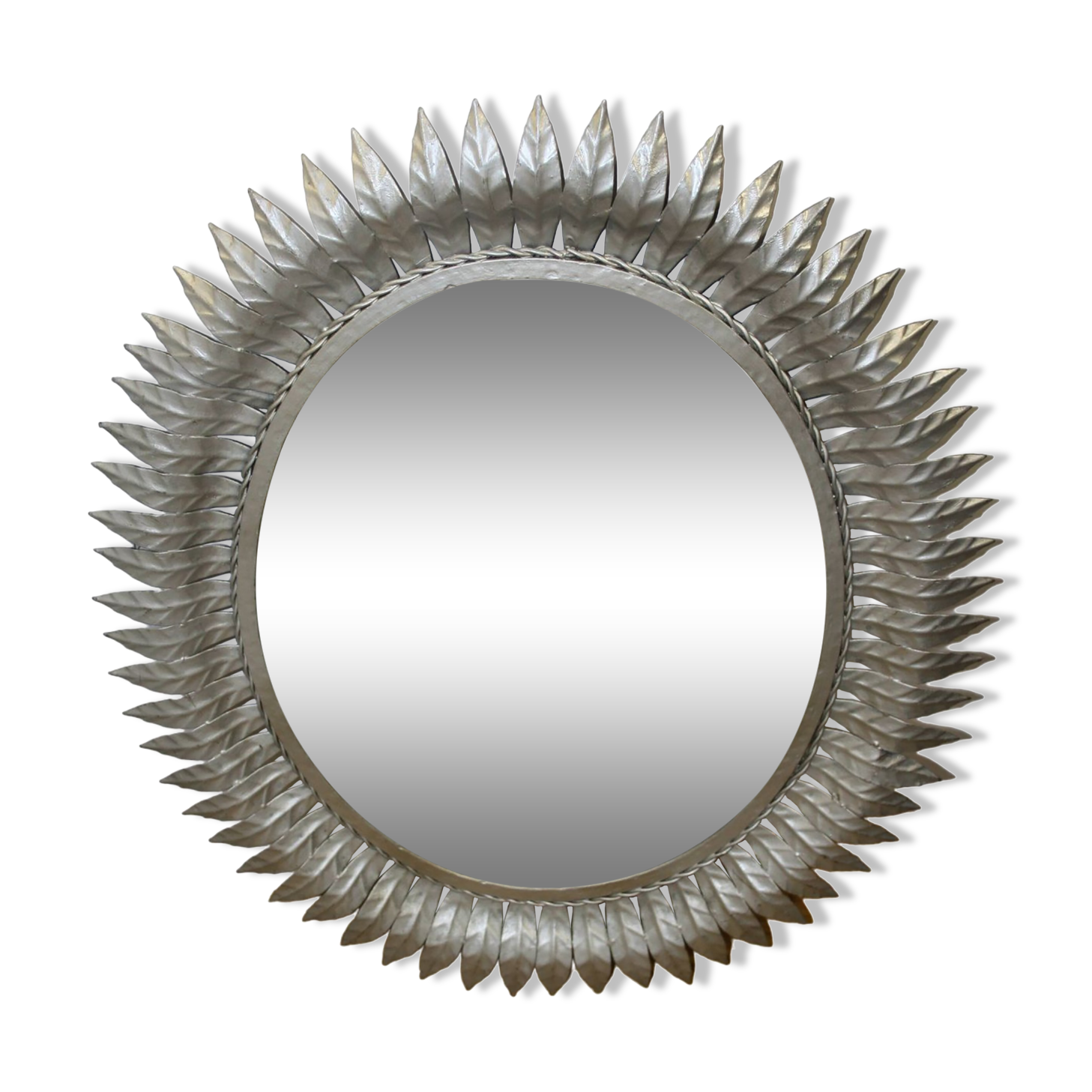 Silver mirror leaves