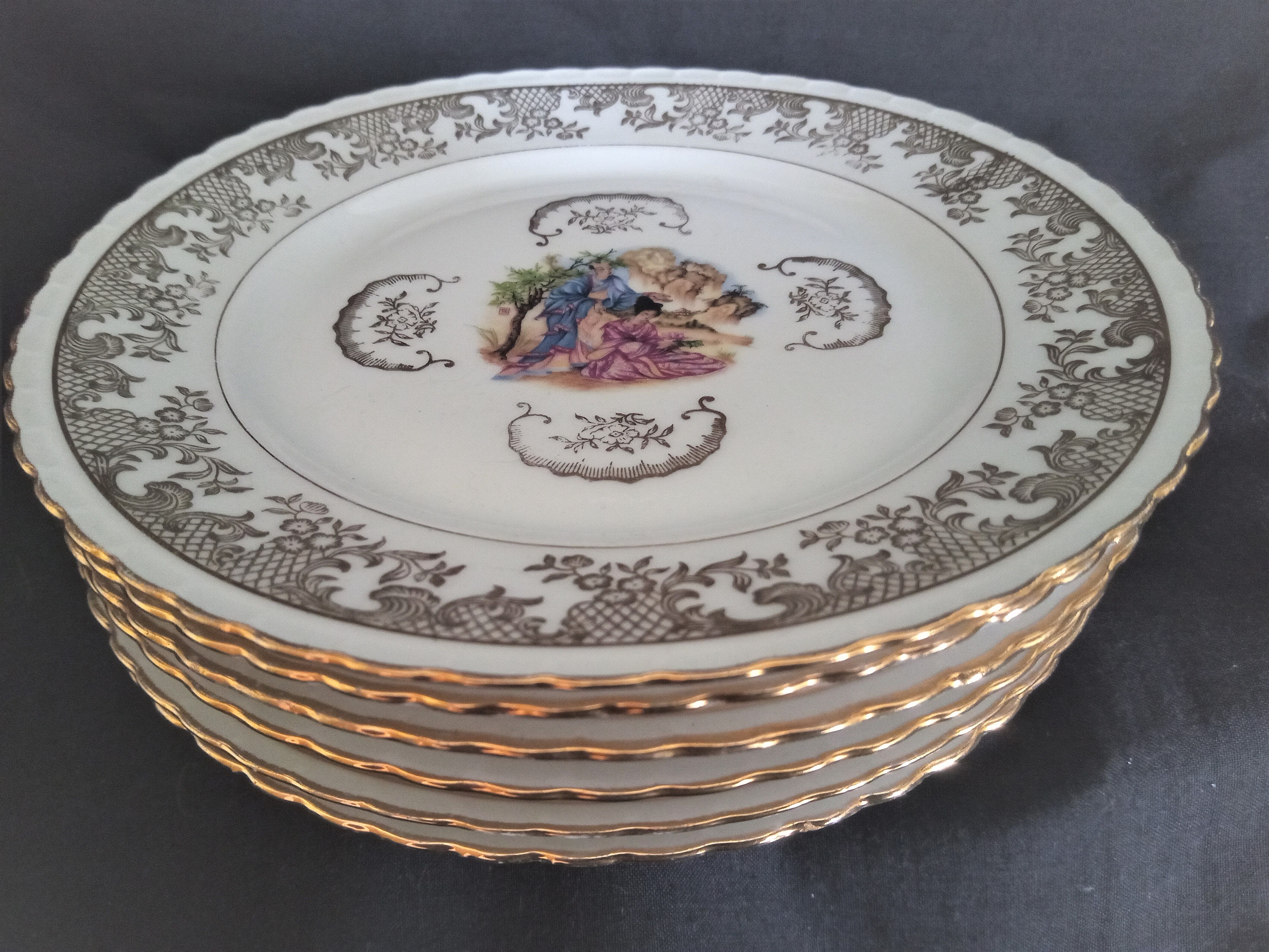 Set of 13 plates with Japanese motifs in real Limoges porcelain