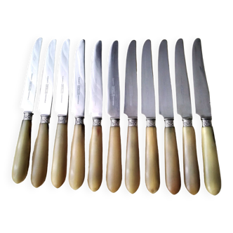 11 Apollo bovine horn and stainless steel table knives