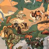 Card school Vegetation and fauna of North America and Asia MDI 1960