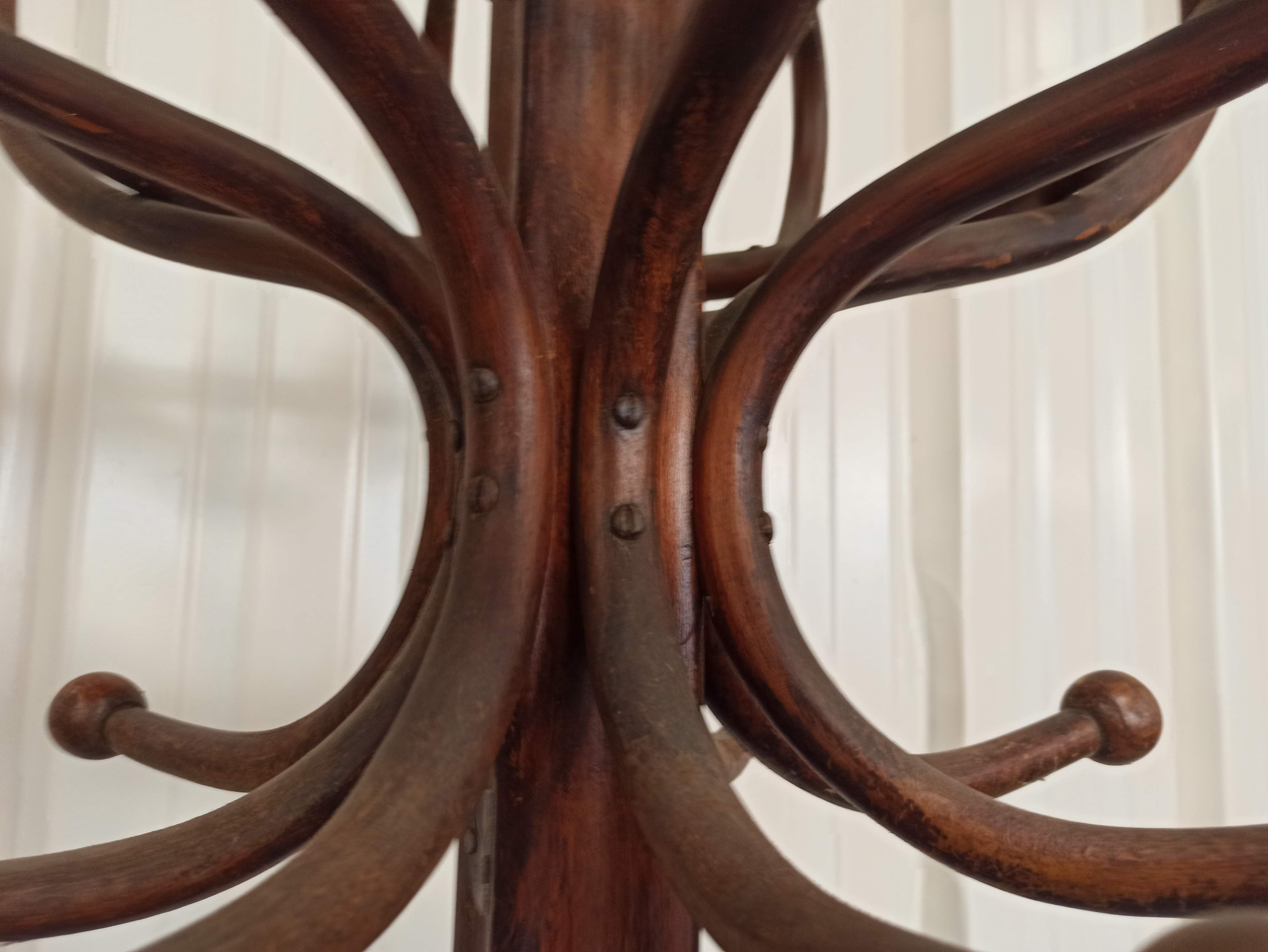 Porte-manteau perroquet en bois courbé Fischel par Alexander porte manteau patère