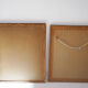 Pair of vintage paintings 1950 frame gilded wood