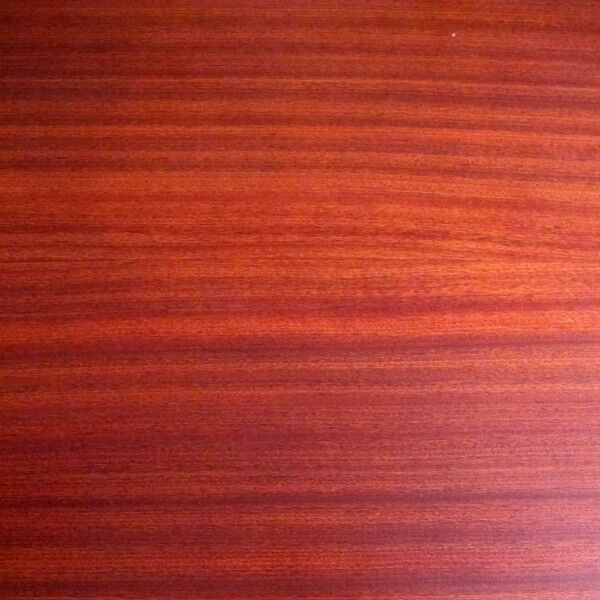 Scandinavian design coffee table