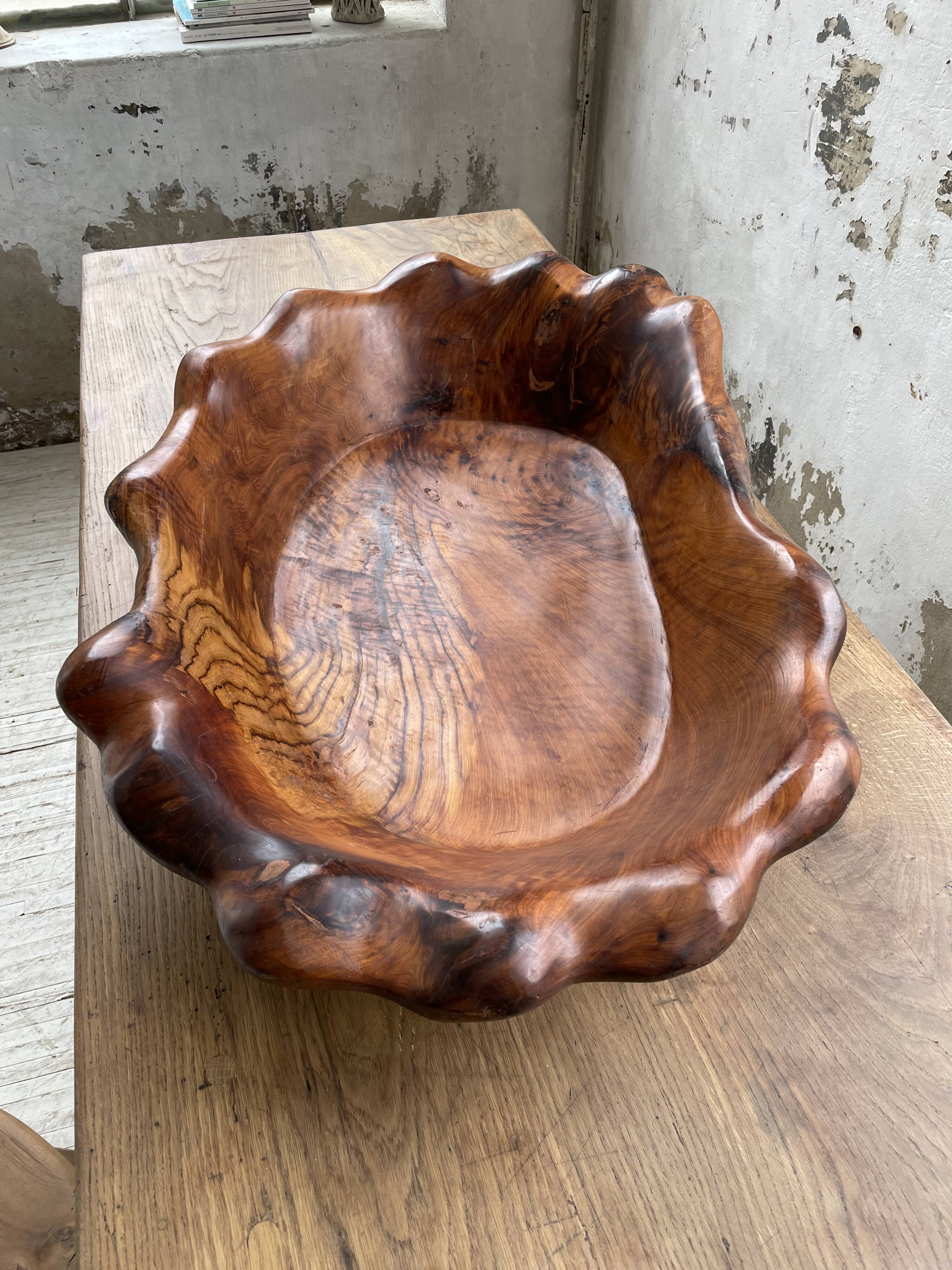 XL thuja root wooden dish