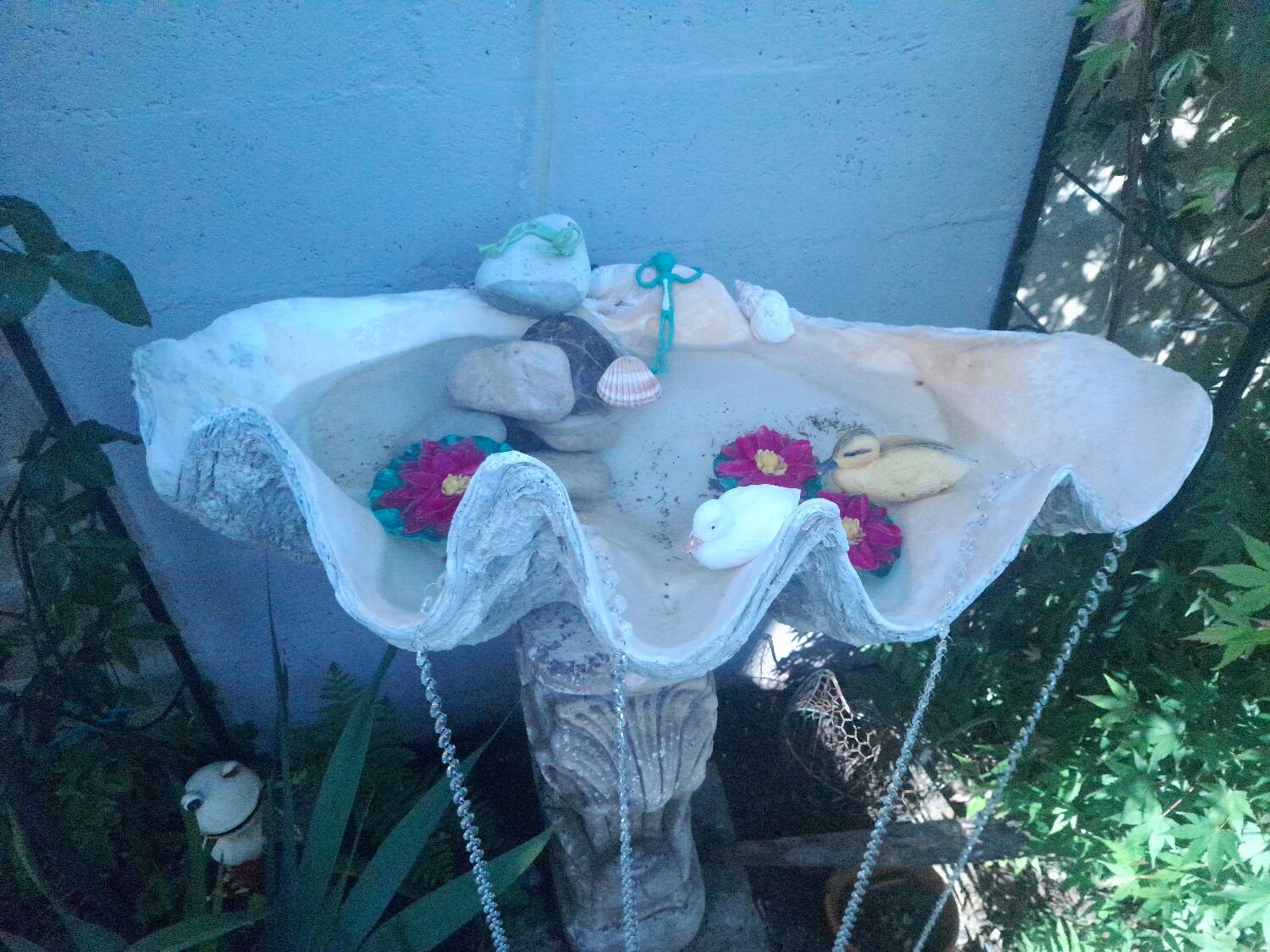 Tridacna shell (86 cm) – on base – rare and decorative