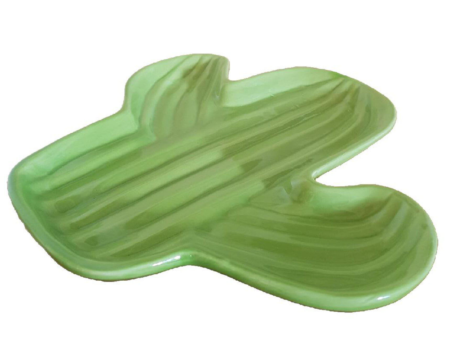 Empty vintage pocket cactus shape