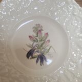 Set of 4 royal cauldom plates