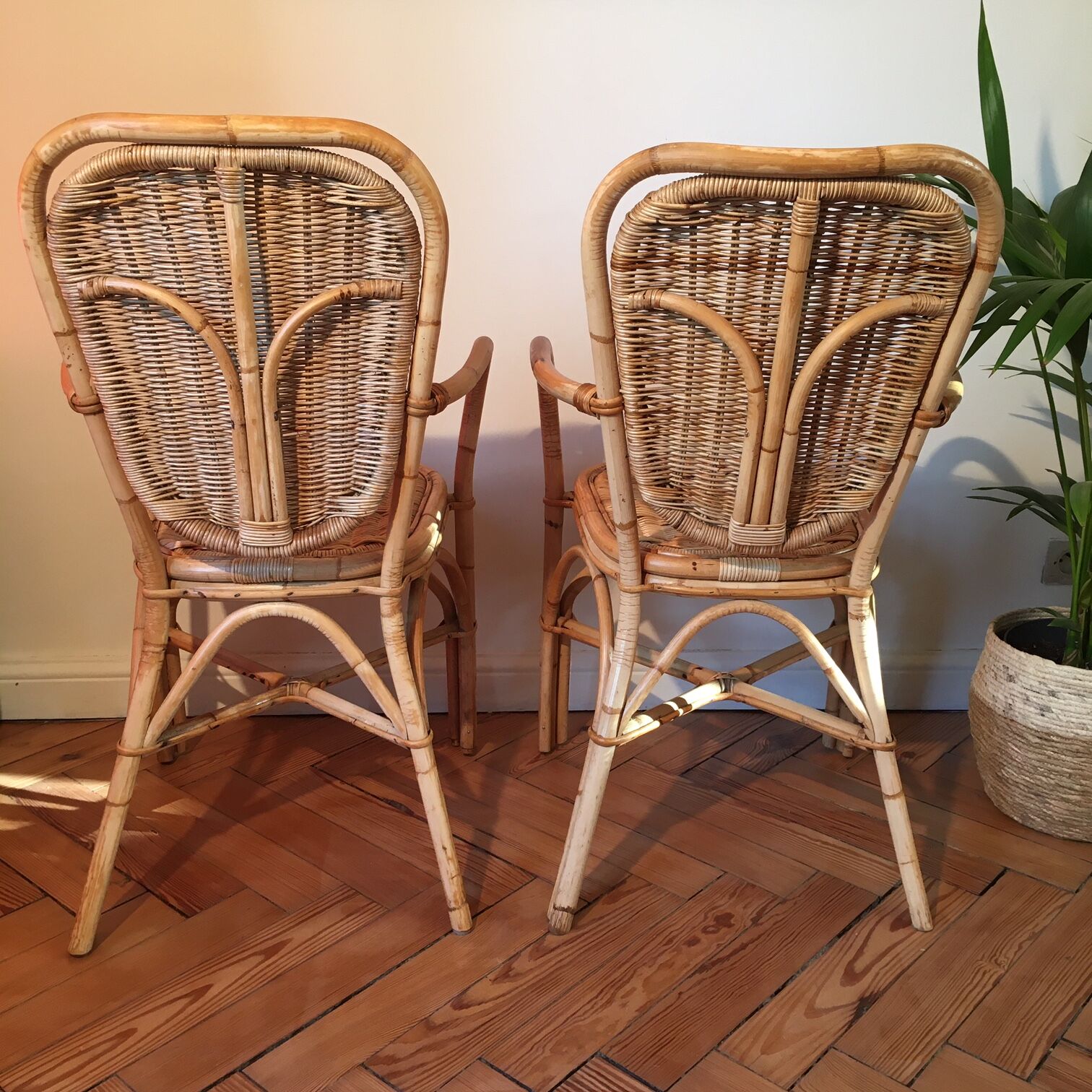Pair of light rattan chairs