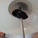Paire de lampes Unilux pied "tulipe"