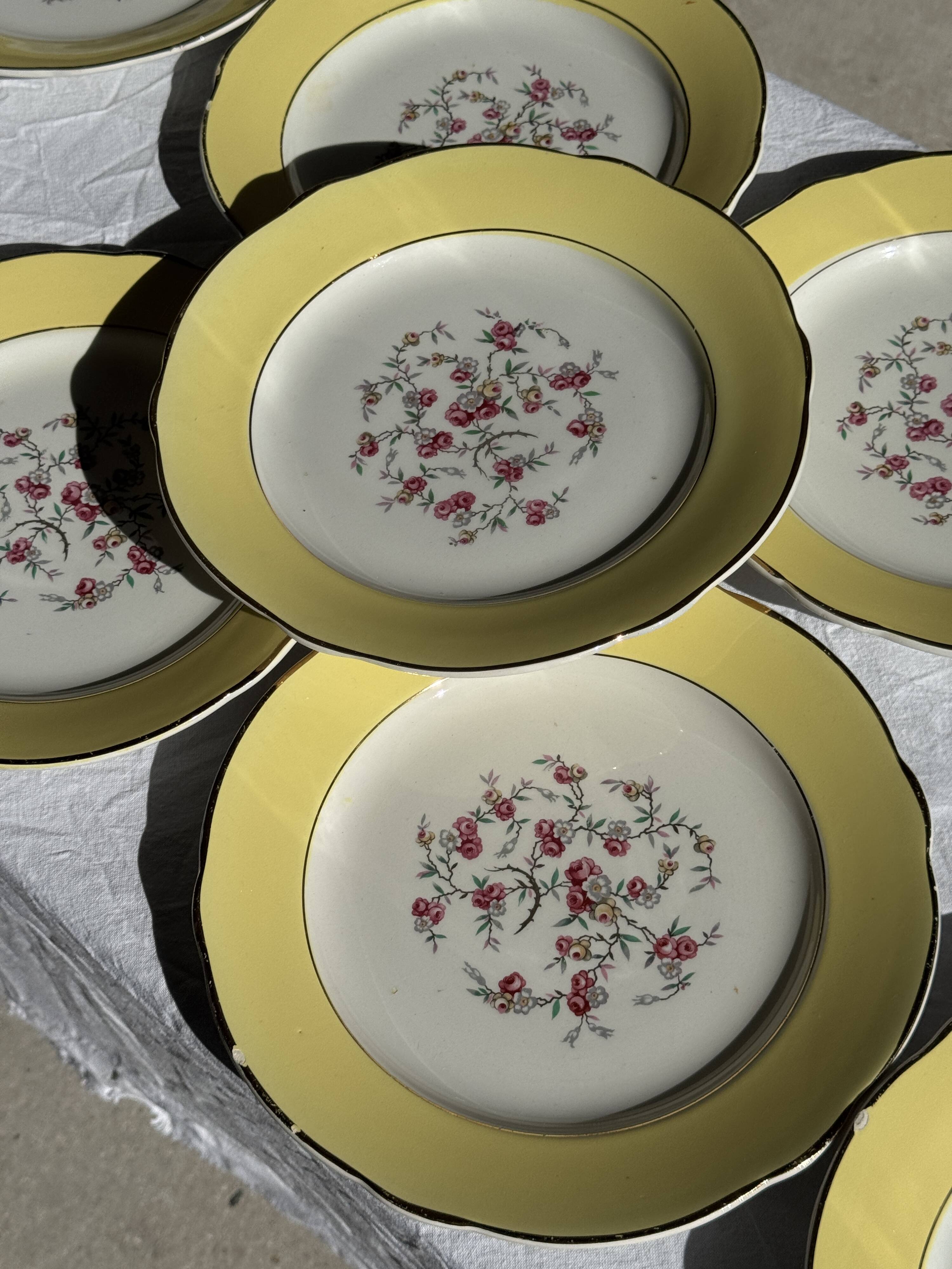Lot de 19 grandes assiettes plates vintage jaunes fleurs roses liseré doré