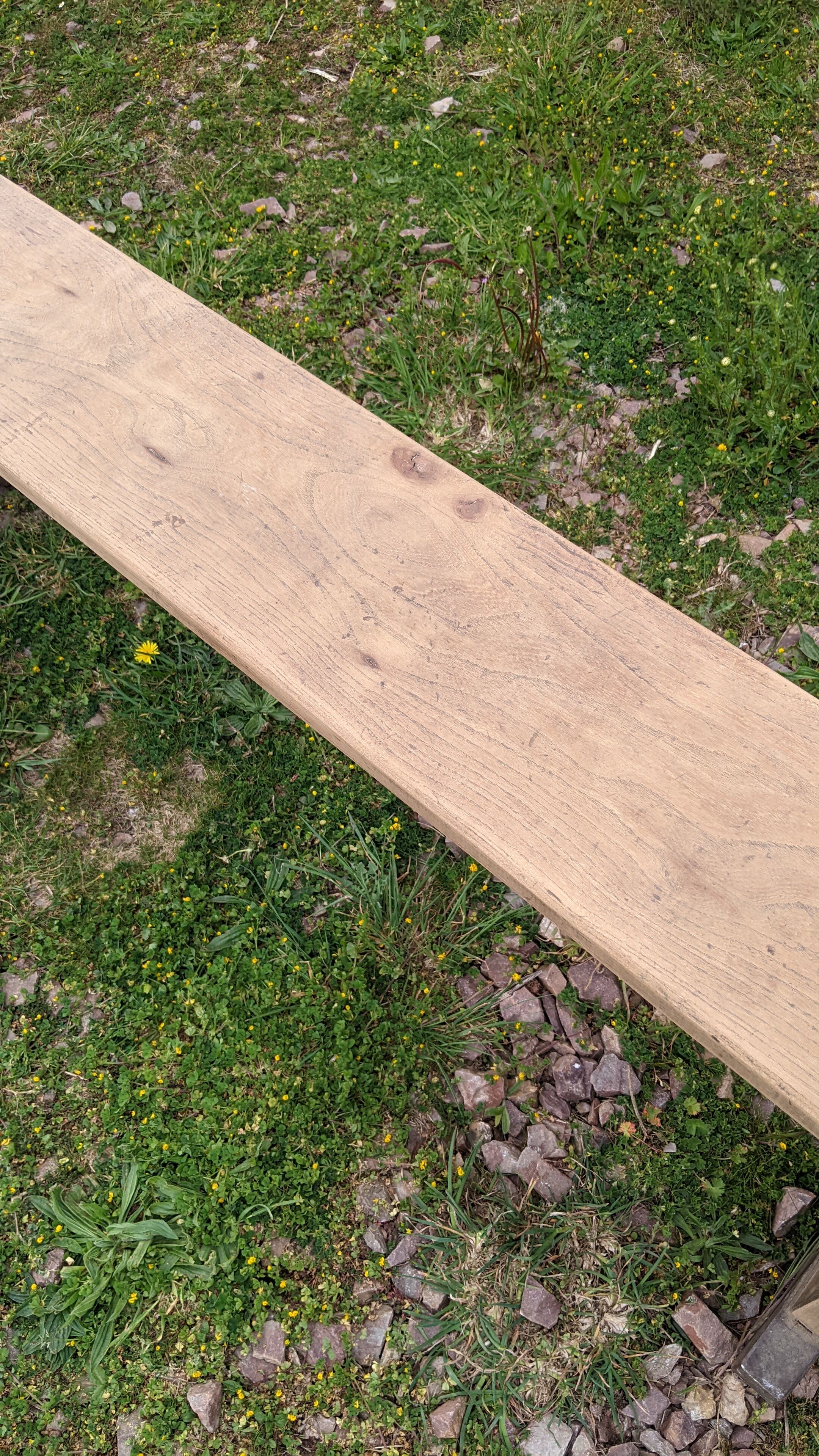 Old farm bench in chene