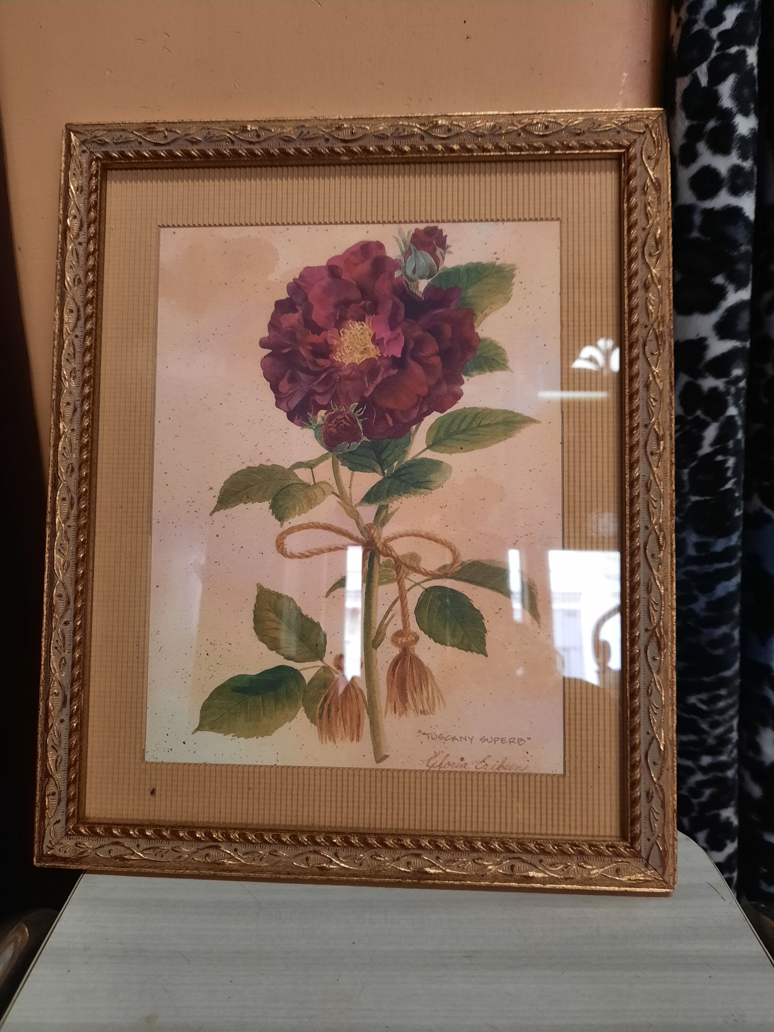 The Tuscan rose vintage illustration